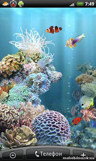 Живые обои - aniPet Aquarium